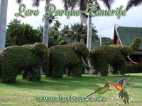 010 Loro Parque - Tenerife