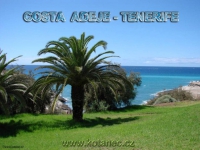 009 - Costa Adeje - Tenerife